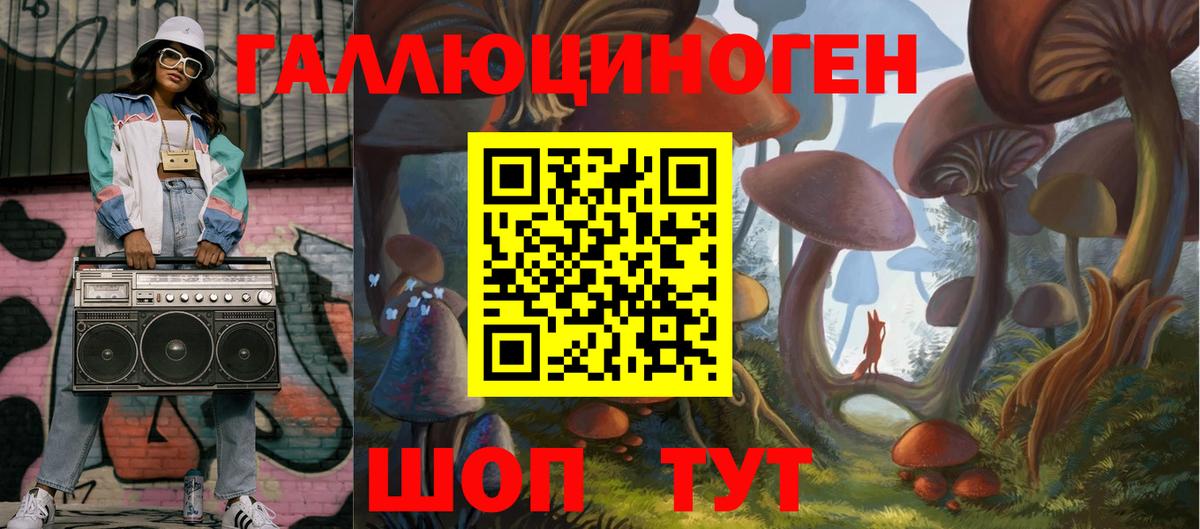 Псилоцибиновые грибы Psilocybine cubensis Артёмовский