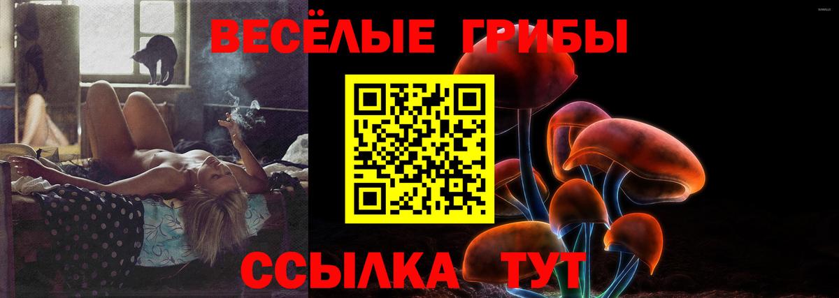 МЕФ Артёмовский